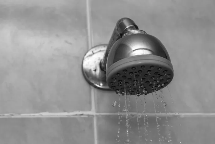 Shower Valve and Cartridge Repair & Replacements