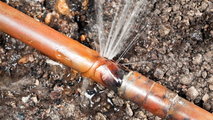 leak detection westminster co